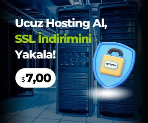 Türkiye Ucuz Hosting: En Sevilen Hizmetler