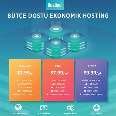Ucuz Hosting Türkiye: Bütçe Dostu Seçenekler